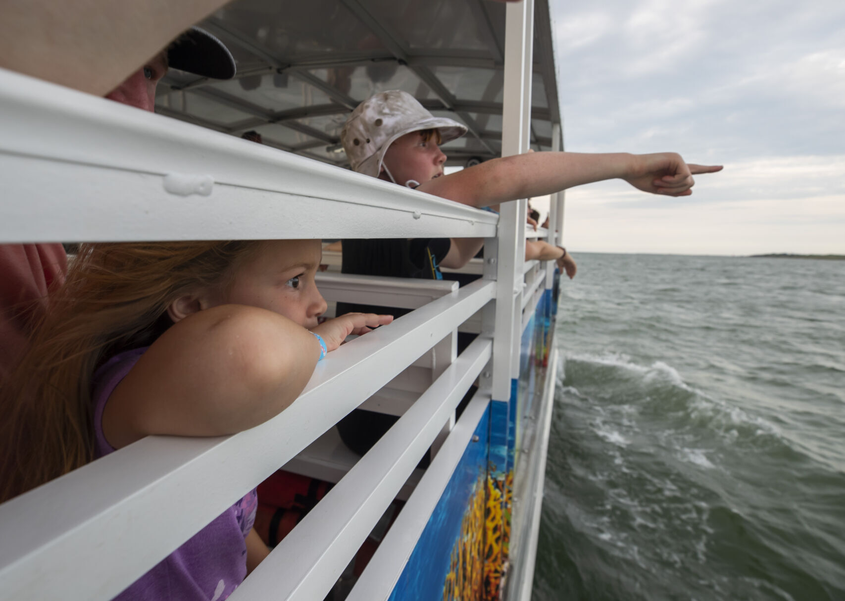 Dolphin Tours